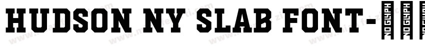 Hudson NY Slab font字体转换